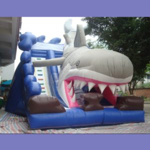 Inflatable Slides for Sale - Quality Inflatable Slides China Factory