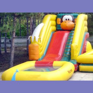 Inflatable Water Slides for Sale - Backyard Water Slides Factory